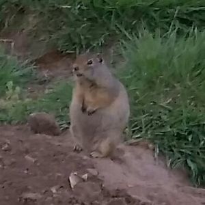 Meet your Posher, Pamela